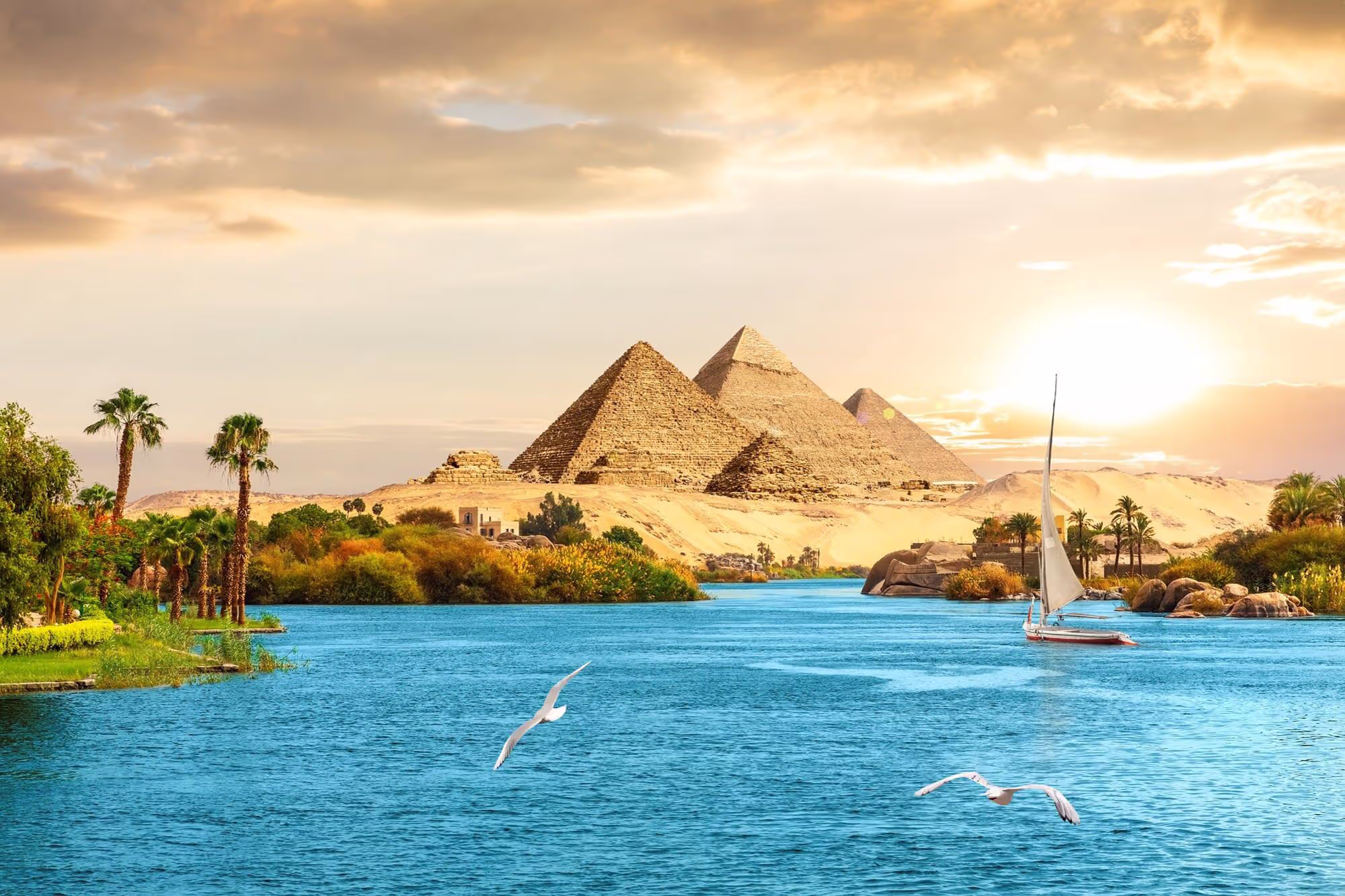 Alzaybiq Travel & Tourism Agency — Tourism & Excursions