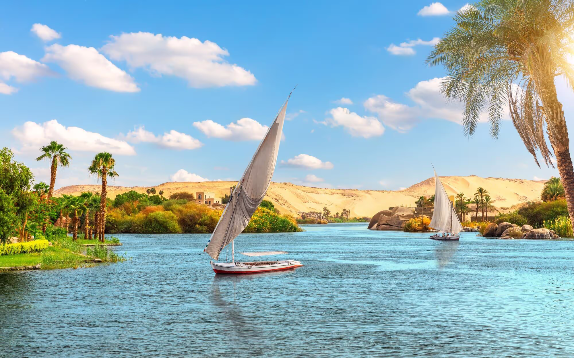 Alzaybiq Travel & Tourism Agency — Modern Tourist Transportation & Fleet